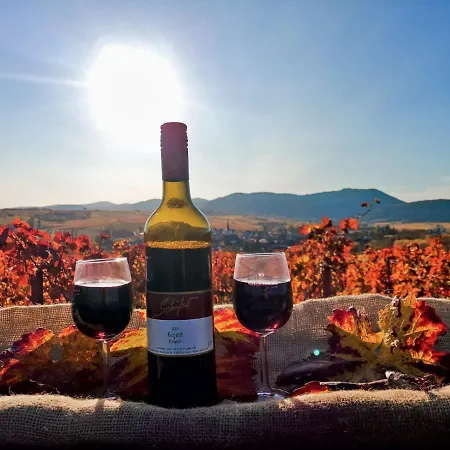 Ferienweingut- Schaefer Apartment Gocklingen