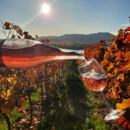 Ferienweingut- Schaefer