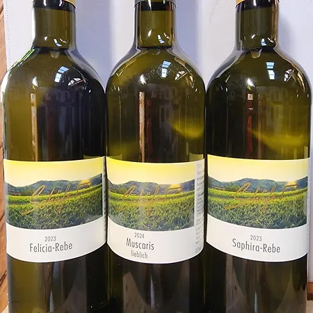 Apartment Ferienweingut- Schaefer Gocklingen