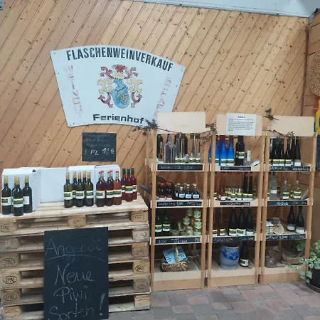 Ferienweingut- Schaefer Gocklingen