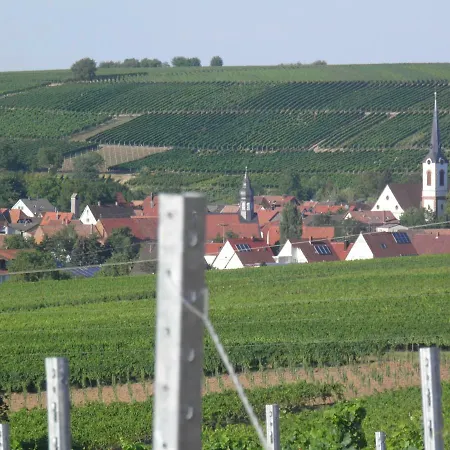Ferienweingut- Schaefer Apartment
