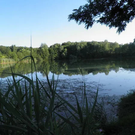 Ferienweingut- Schaefer