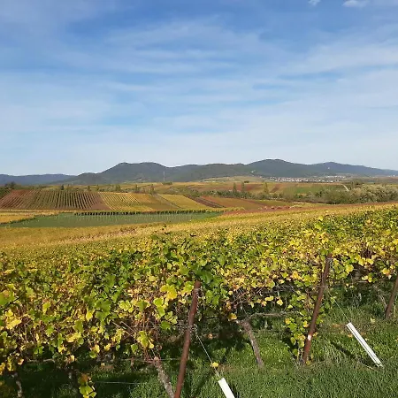 Ferienweingut- Schaefer * Gocklingen