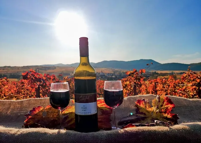 Ferienweingut- Schaefer Apartamento Gocklingen