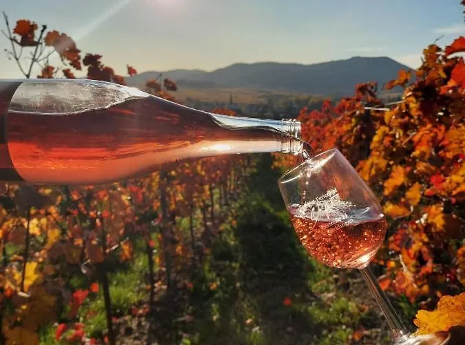 Ferienweingut- Schaefer