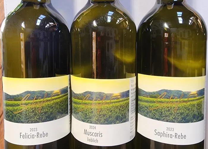 Apartamento Ferienweingut- Schaefer Gocklingen