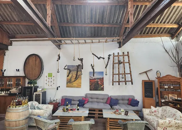 Ferienweingut- Schaefer *