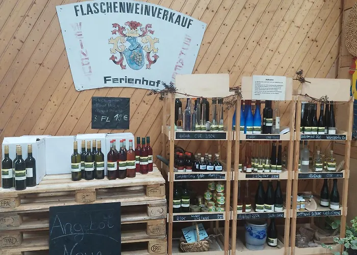Ferienweingut- Schaefer Gocklingen
