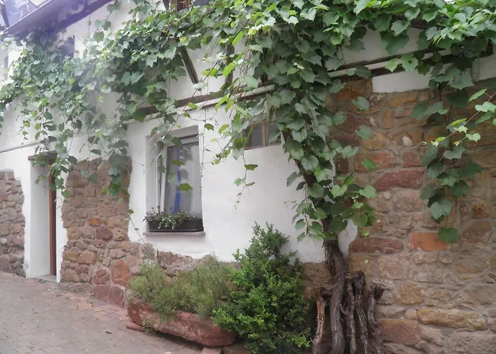 Apartamento Ferienweingut- Schaefer