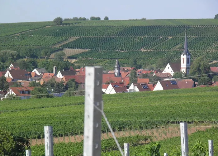 Ferienweingut- Schaefer Apartamento
