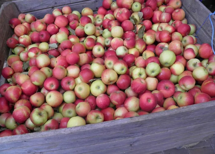 Apartamento Ferienweingut- Schaefer