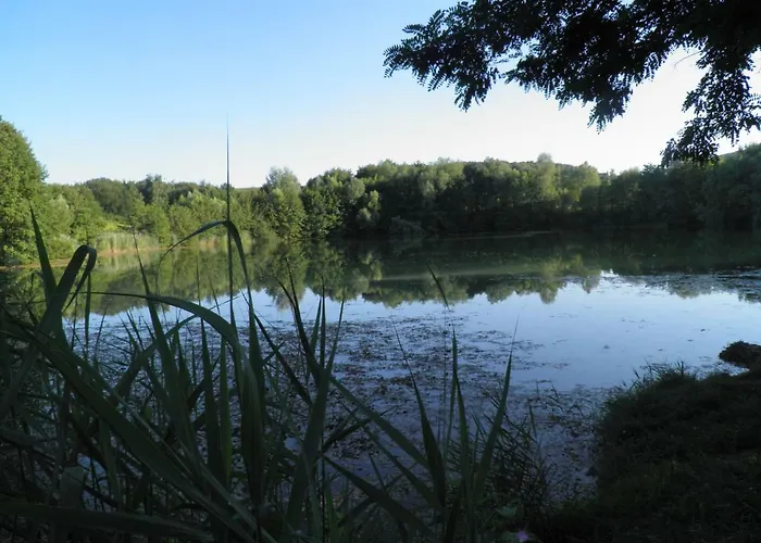 Ferienweingut- Schaefer