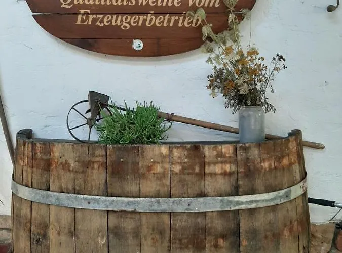 Ferienweingut- Schaefer