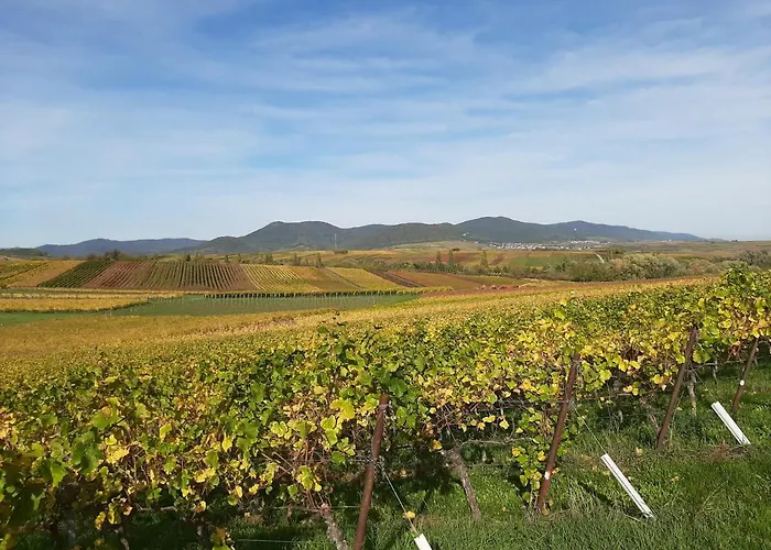 Ferienweingut- Schaefer * Gocklingen